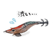 855680455