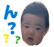 855681018