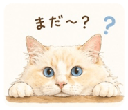 855681124