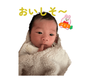 855681167