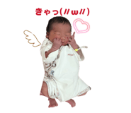 855681183