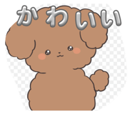 855681186