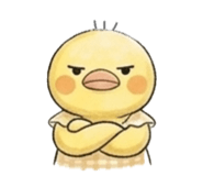 855681261