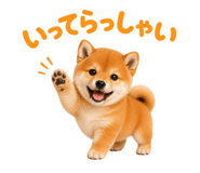 855681723