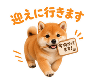 855681724