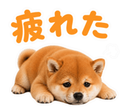 855681730