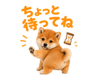 855681745