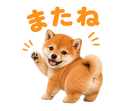 855681746