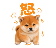 855681749