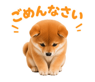 855681756
