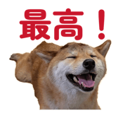 855681851