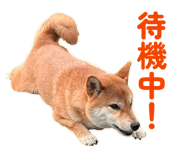 855681854