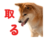 855681855