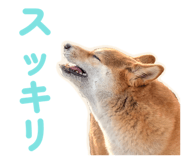 855681856