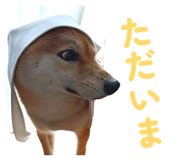 855681858