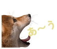 855681859