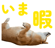 855681860
