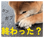 855681861