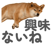855681862