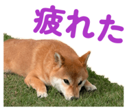 855681863