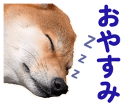 855681864