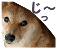 855681869