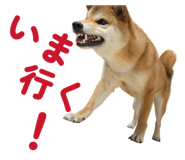 855681876
