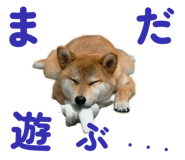 855681878
