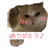 855682169