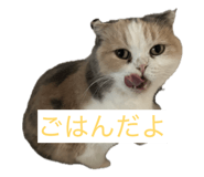 855682170