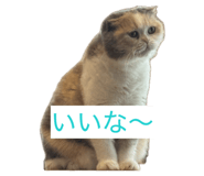 855682171