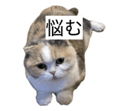 855682174
