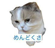 855682175