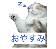 855682177
