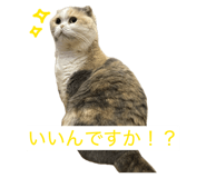 855682179