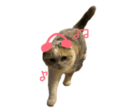 855682180