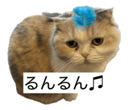 855682184