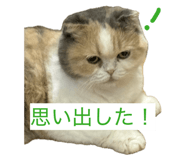 855682185