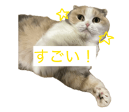 855682186