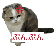855682191