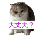 855682192
