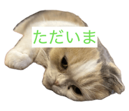 855682193