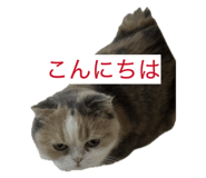 855682195