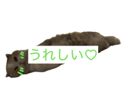 855682198