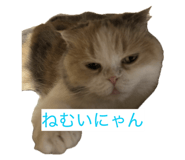 855682199