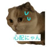 855682203