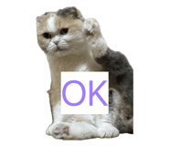 855682205