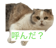 855682207