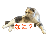855682208