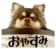 855682289